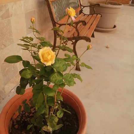 Vendégház Baglio Delle Rondini