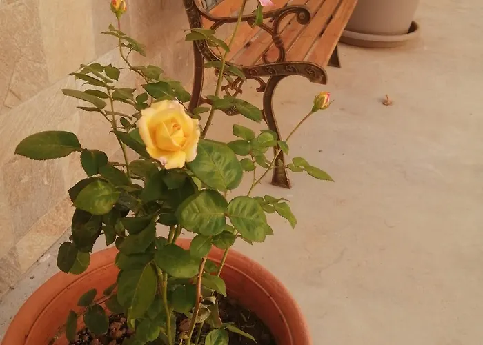 Гостевой дом Baglio Delle Rondini